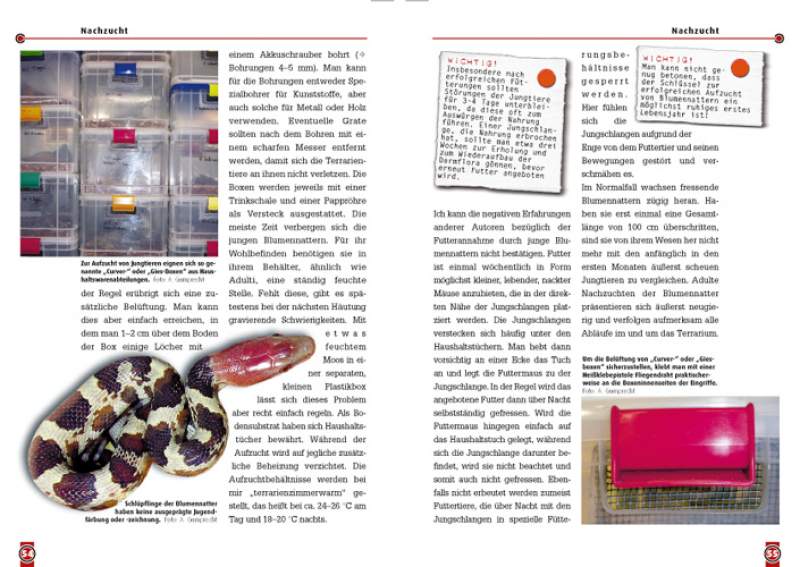 Preview: Die Blumennatter